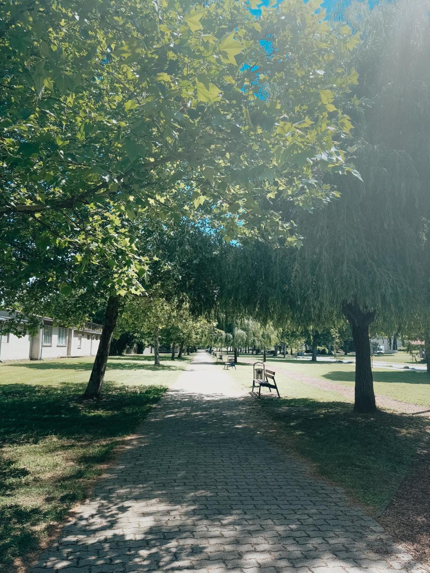 Sobri Halaszcsarda Es Panzio Baja Exterior foto